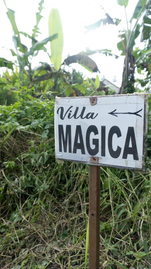 Villa Magica Ubud Buitenkant foto