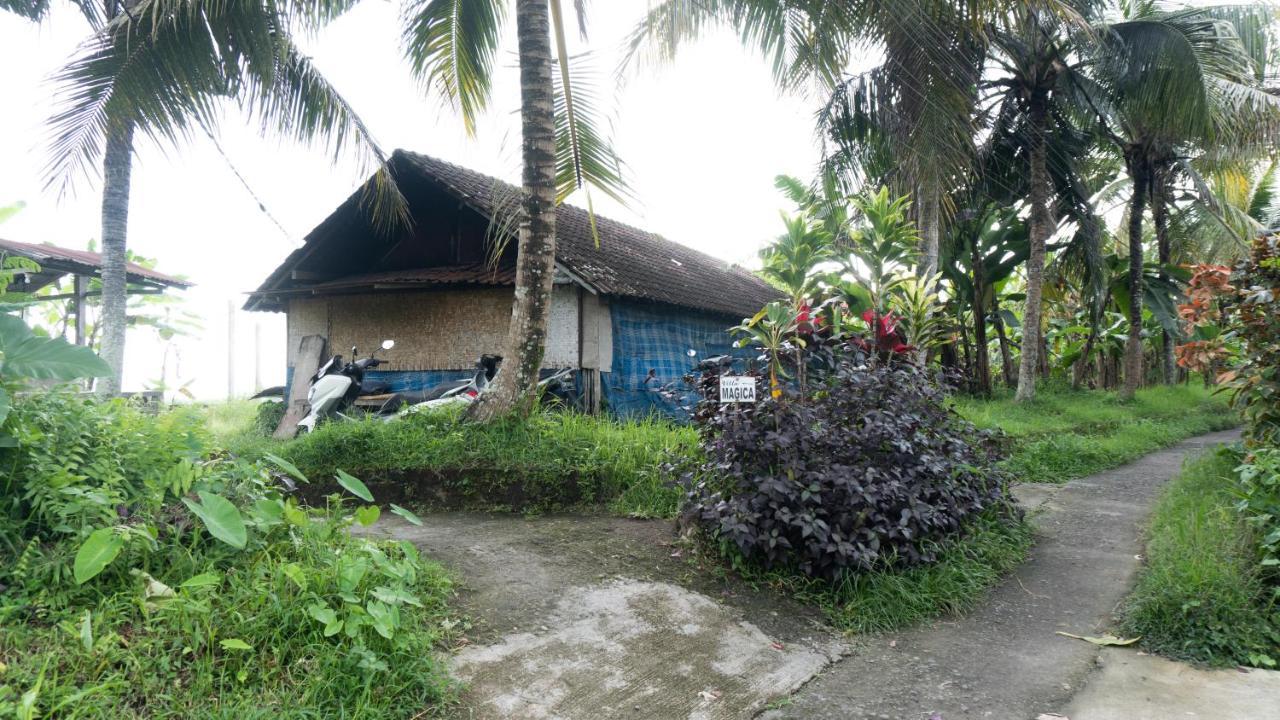 Villa Magica Ubud Buitenkant foto