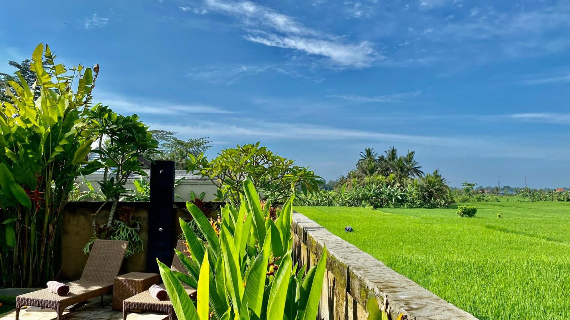 Villa Magica Ubud Buitenkant foto