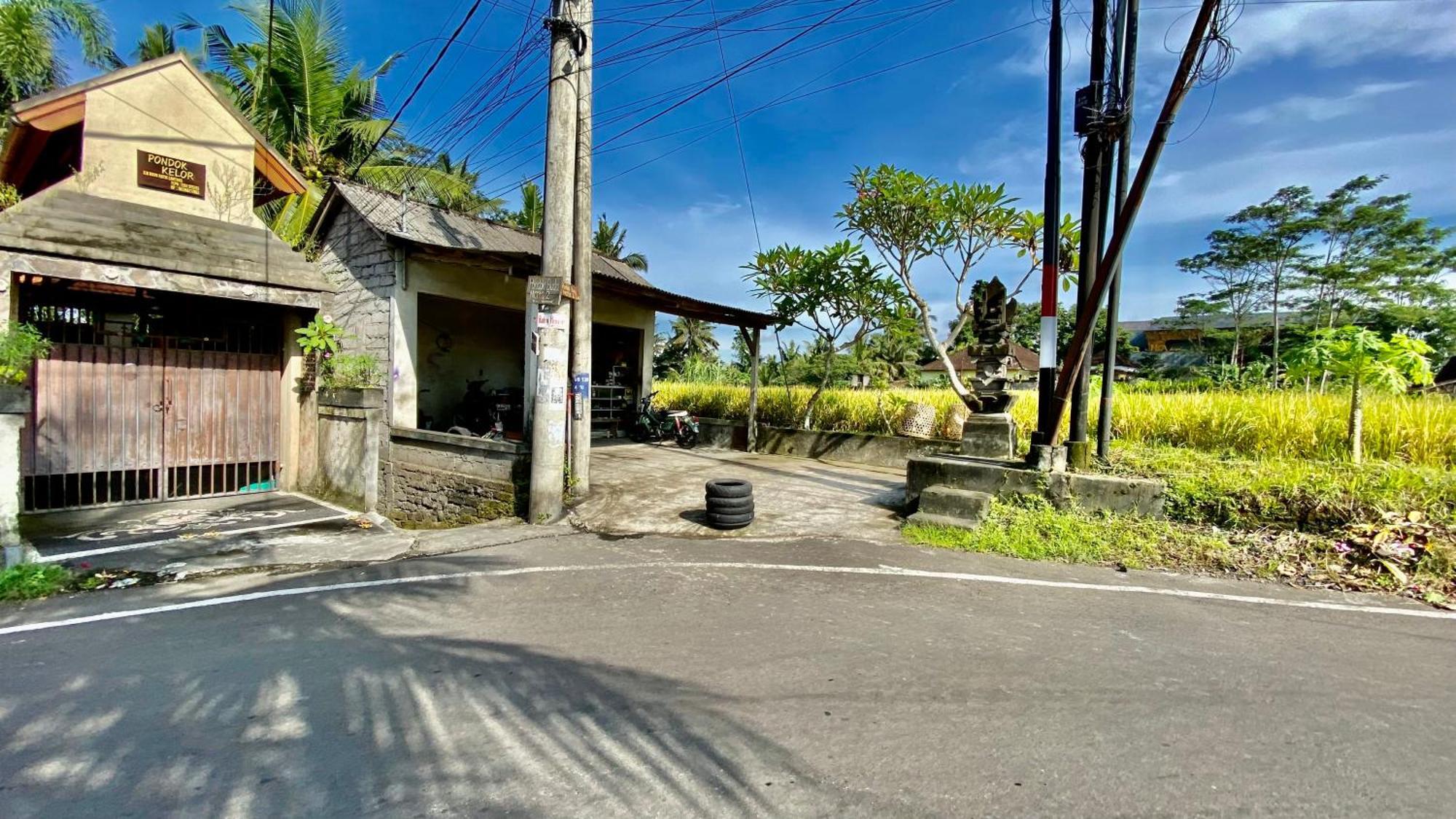 Villa Magica Ubud Buitenkant foto