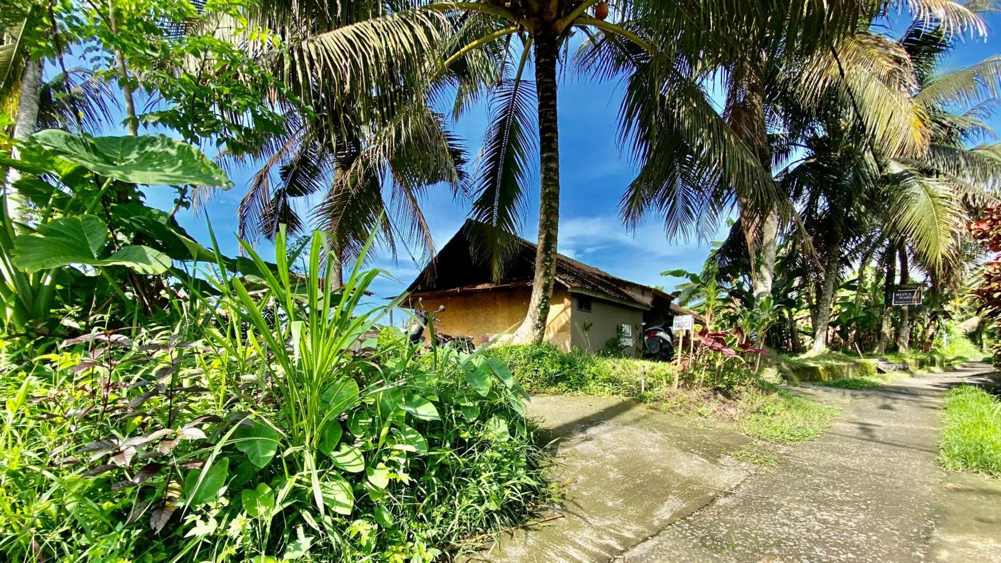 Villa Magica Ubud Buitenkant foto