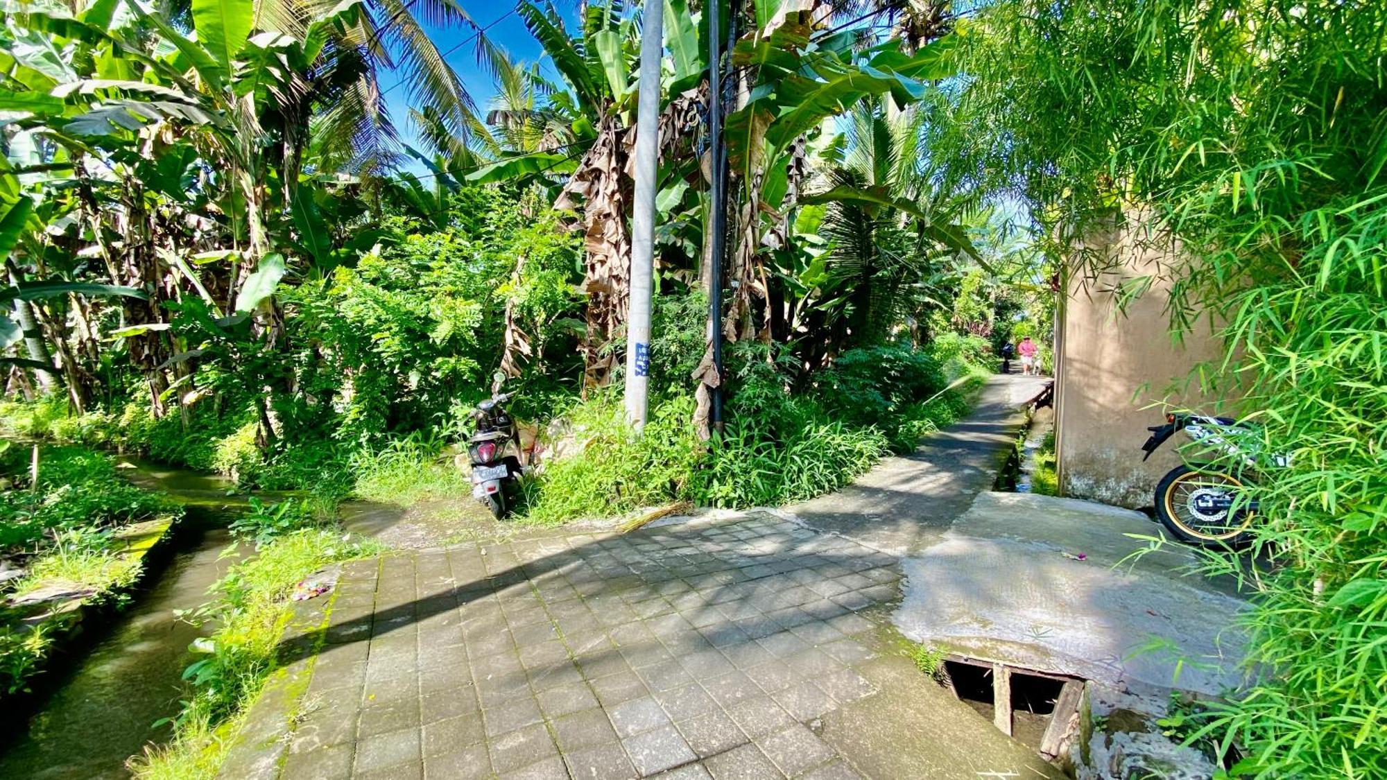 Villa Magica Ubud Buitenkant foto